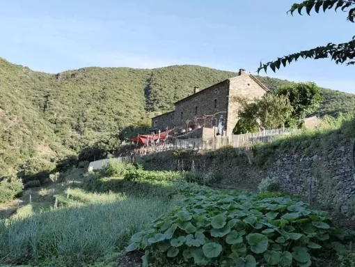 Restaurant avec vue panoramique et produits locaux à Montpellier, Montpellier, Auberge du Mas de Daumet